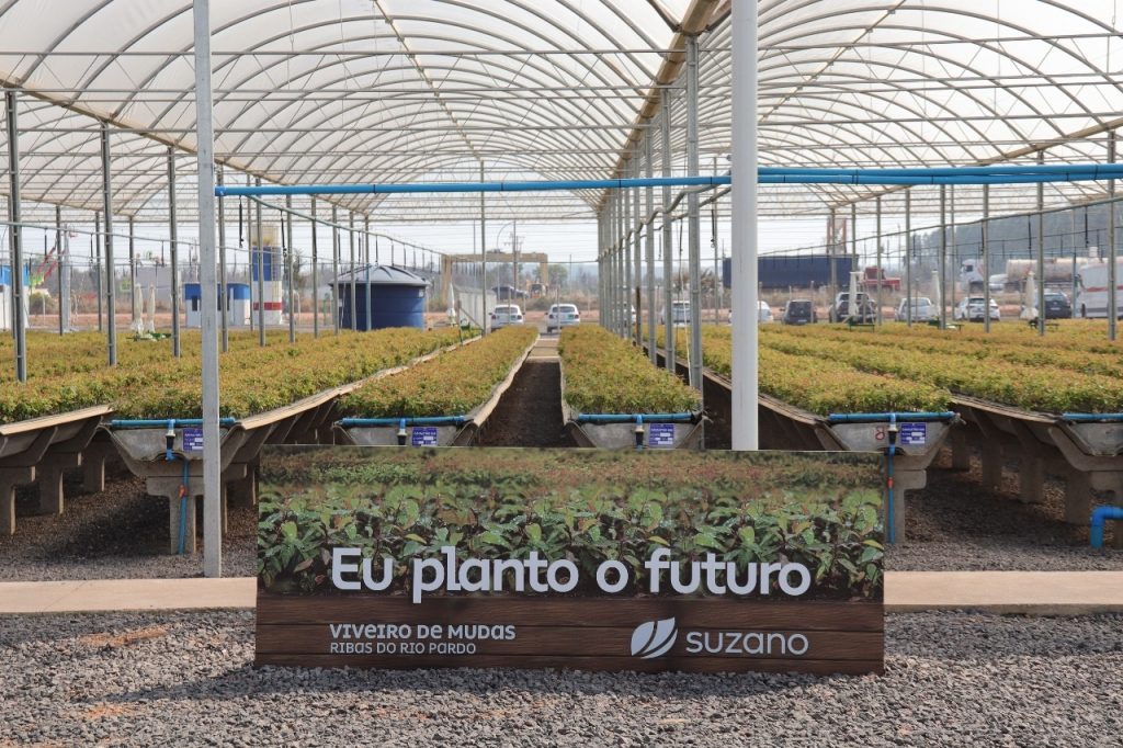 Suzano inaugura um dos viveiros de mudas mais modernos do mundo em Ribas do Rio Pardo